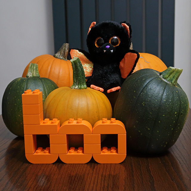 Five ripening pumpkins with a TY bat toy